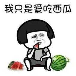 娱乐圈有什么瓜吃,揭秘明星们的幕后故事与精彩瞬间